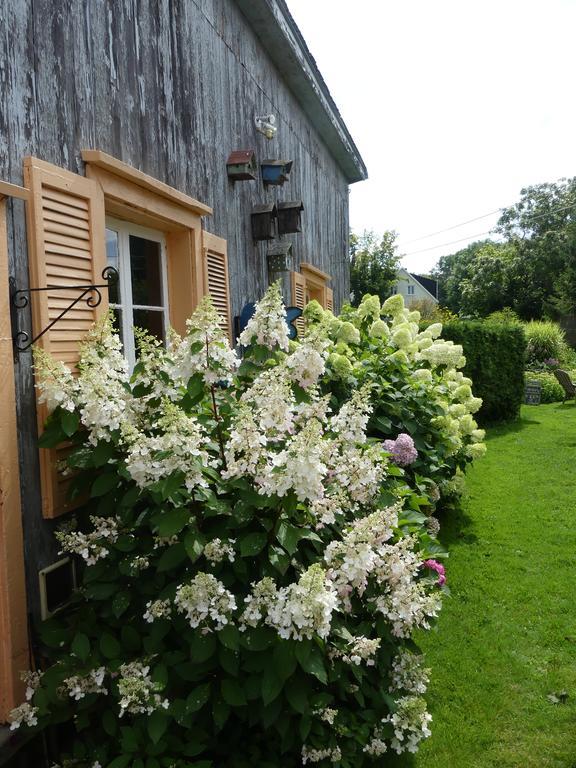 Gite Du Village - Deschambault Exteriér fotografie